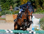 Paini Ottava Meraviglia GioCav2013 S5 4615 : Horses, Ottava Meraviglia, Paini Paolo, ph Stefano Secchi ©